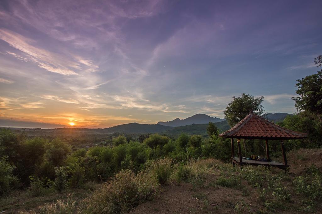 Hobbit'S House Homestay バニュウェダン エクステリア 写真