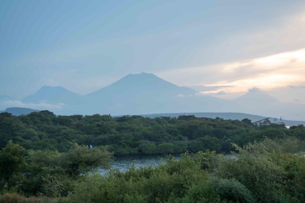 Hobbit'S House Homestay バニュウェダン エクステリア 写真